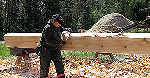 hirret kuoritaan